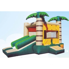 Inflatable Bouncer for kids play fun